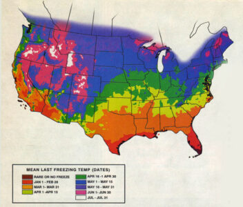 Starting Seed Indoors: A Personal Seed Starting Planner Image